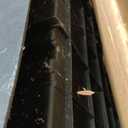 Keter Store-It-Out MIDI Outdoor Resin Storage Shed – Weather-Resistant Horizontal Cabinet for Trash Cans, Garden Tools & Patio Accessories – Lockable, Easy-Lift Lid, 30 Cu. Ft. Capacity, Beige