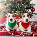 48 Pcs Green & Red Dog Bandanas - DIY Sublimation Blank Scarf for Heat Transfer, Personalized Pet Triangle Bib, Valentine's St. Patrick's Costume & Photo Props for Pet Owners, Groomers & Shops