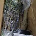 Olive Tree Artificial Indoor 8ft - UV Resistant Large Fake Plants - Realistic Faux Olive Tree in Pot - Tall Artificial Plants Outdoor for Home, Patio, Living Room, Office Decor,VN138 (Green)