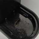 Keurig K-Supreme Single Serve K-Cup Pod Coffee Maker, MultiStream Technology, 4 Brew Sizes, 66oz Dual-Position Removable Reservoir, Black