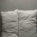 Live Comfortably Platinum Pillow, King (2 Pack)