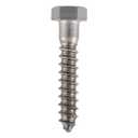 3/8 x 2-1/2 Stainless Lag Bolt (25-Pack) 18-8 Stainless Steel, Heavy Duty Hex Wood Lag Screw, ASME B18.2.1 Commercial/Industrial Grade by Makers Bolt