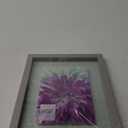 Photo Frame 8"/10"