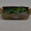 RECUTMS Artificial Hanging Plants 2 Pack, Fake Monstera Leaves Ivy Vine Faux Greenery UV Resistant Outdoor Tropical Palm Leaf Plant for Garden Home Jungle Hawaiian Luau Party Spring Summer Dcor