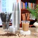 Ziliny 100 Set Clear Plastic Cups with Lids and Straws, Disposable Iced Coffee PET Cups for Drinking Cold Beverage Juice Parfait Smoothie Milkshake Coffee Shops Party Supplies (14 oz)