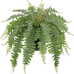 Hollyone Artificial Fern Plants in Pot 18.8" Small Artificial Boston Fern 24 Leaves for Outdoors & Indoor Faux Potted Plant Fake Ferns Bush Plant Patio Garden Farmhouse Porch Home Decor Dusty Green