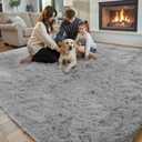 Area Rugs 10x14 Living Room, Shaggy Carpet Soft Plush Furry Bedside Rug Large Area Rugs for Bedroom Kids Girls Boys Home Decor Anti Slip(10 x 14, Light Grey)