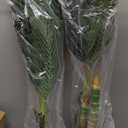 Artificial Golden Cane Palm Tree - 4FT Realistic Faux Plants Indoor with Weighted Pot, Tropical UV Resistant Fake Palm Tree for Home Bedroom Living Room Office Patio Pool Decorations Outdoor Palm Tree