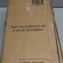 Nathan James Tamlin Vintage Brass Wall Light Fixture, Wall Mounted 1-Light Lamp, Plugin Sconce with On/Off Switch for Living Room, Reading Nook or Bedroom, Brass, Set of 2