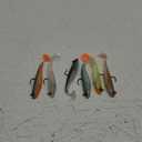 TRUSCEND Easy Catch Pre-Rigged Soft Lures, Unique Vibrating Swim Action and Trembly Sinking Move for More Bites, Amazing Soft Swimbait for Family Fishing, Fishing Lures for Bass Trout Crappie Walleye (2.75",0.23oz)