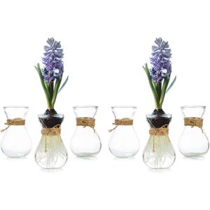 Small Glass Vases for Centerpieces - Hewory 6pcs Clear Mini Hyacinth Avocado Growing Bud Vase Bulk, Cute Tiny Flower Bulb Forcing Plant Containers Set for Wedding Home Living Room Table Decorations
