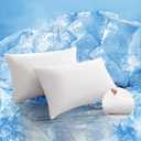 TELUS Cooling Pillowcases for Hot Sleepers Queen Size 2-Pack, Silky Soft Breathable Pillow Case with Envelope Close, Stay Cool Pillow Cover for Night Sweats, 20x30 Inch, White