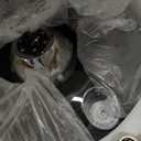 42" Dimmable Fandeliers Modern Crystal Invisible Chandelier Ceiling Fan With 3 LED Color Change Lights with Memory Function