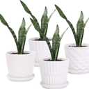 Plant Pots - 5.5 Inch Cylinder Ceramic Planters with Connected Saucer, Pots for Succuelnt and Little Snake Plants, Set of 4, White