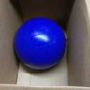 Jolly Pets Push-n-Play Ball Dog Toy, 10 Inches/Large, Blue