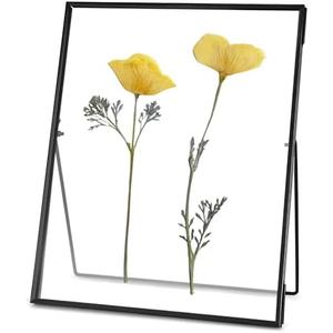REDHUGO Glass Pressed Flower Frame Handmade, Floating Picture Frames for Pressed Flowers, Tabletop Artwork Photo Frames, Brass Desk Picture Frame for Home Office Plant Specimen, Black, 8x10 Inches