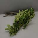 6 Pcs 6pcs Faux Stems and Branches for Vase 31.5inch Fake Plants Artificial Greenery Stems Faux Branches for Home Vase Wedding Garden Farmhouse Table Mantel Decor