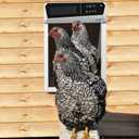 Gardtech Automatic Chicken Door - Solar Powered Coop Door with LCD Display, Timer & Light Sensor & Remote Control (white)