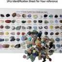 800Pcs+ (3lb) Gemstones and Crystals Set,30Kinds+ Bulk Rocks and Minerals Science Kit,Rocks Collections for Kids,Tumbled Chips Crystals,Crushed Stones