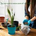 6 inch Plant Pots 10 Packs Thickened House Plant Pots Indoor Outdoor Flower Pots with Drainage Holes and Saucers (Multicolor)