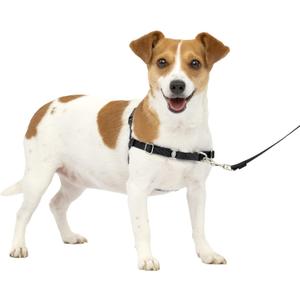 PetSafe Easy Walk No-Pull Dog Harness - The Ultimate Harness to Help Stop Pulling - Take Control & Teach Better Leash Manners - Helps Prevent Pets Pulling on Walks, Small, Charcoal/Black