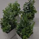 Der Rose 4 Pack Fake Plants Mini Artificial Greenery Potted Plants for Home Decor Indoor Office Table Room Farmhouse Bathroom Decor (Grey)