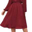 IN'VOLAND Women's Plus Size Swiss Dot Long Sleeve Chiffon Dress Flowy High Waist A Line Ruffle Babydoll Midi Dresses 16W-24W, Red, M