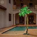 Lightshare 7FT Gorgeous Solar Palm Tree Artificial Tree, 152LED Lights, Decoration for Office, Home, Party, Christmas, Nativity, Outdoor Patio