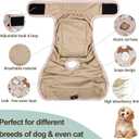 Female Dog Diapers 5Pcs - Premium Reusable Diapers for Doggie in Heat - Highly Absorbent Dog Diapers Female for Pet Incontinence with Adjustable Snaps, Breenish Lily Flower, S
