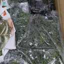 Cedar Christmas Garland with Lights for Mantle - Decorations 6 ft Realistic Lighted Faux Pine Garlands for Xmas Home Decoration Indoor Stairs Railing Fireplace Outdoor 6ft Prelit Garland Door Decor