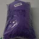 DREAMNINE Oversized Soft Fuzzy Fleece Throw Blanket Twin Size 60" x 80",Decorative Large Solid Lightweight Velvet Bed Blanket,Big Cute Cozy Accent Shaggy Microfiber Flannel Blankets for Bedroom, Purple