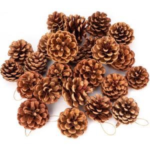 Lescli 24 Pcs Big Size Natural Pine Cones with Strings, 2"-3.5" Rustic Pinecones Bulk Christmas Hanging Ornaments for Xmas Tree Decoration, DIY Crafts, Holiday, Wedding, Party
