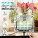 Aeroponics Growing System with Grow Light & Humidifier - Smart Indoor Garden, Visual Root Observation, RGB Mood Lighting, for Plants, Mushrooms - Desktop Hydroponic Planter, Large