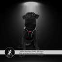 Tailpetz Light Blue Dog Harness Small Sized Dogs, Adjustable No Pull Step in Harness for Small Dog, Reflective Puppy Harness for Puppy Training, Small Dog Harness Boy Girl (Light Blue, S)