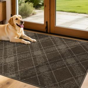 COSY HOMEER Door Mat Non-Slip, Soft Absorbent TPR Backing Doormat for Front Door Inside Entrance, Washable Low Profile Mats for Pets & Family, 32" x 48", Brown