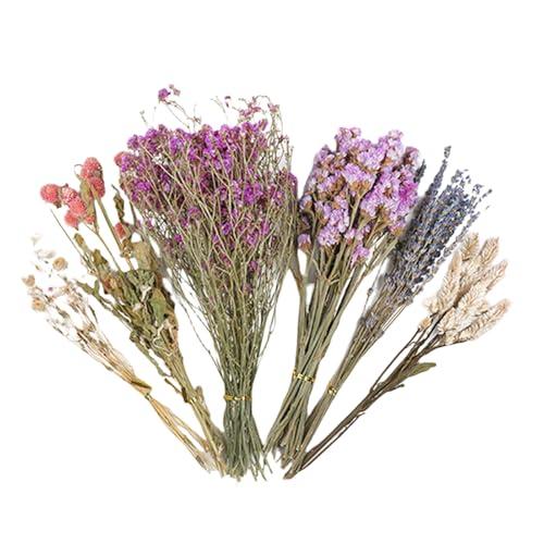 GEUGECY Hamster Hay Flower Bedding, Nature Flower H-ERB Hamster Bedding Odor Control Small Animals Cage Enclosure Habitat Decor for Dwarf Syrian Guinea Hamsters Gerbil Degus Rabbits or Other Pets