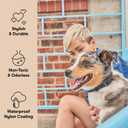 Wild One Dog Collar, Easy-Clean, All Weather Flex-Poly Strap with Metal, Durable, Dirt and Odor Resistant (Black, M)