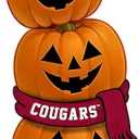 Fan Creations NCAA Washington State Cougars 46-Inch Pumpkin Stacked Leaner with Helmet