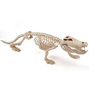 JOYIN 28" Skeleton Crocodiles Halloween Decorations with Posable Joints, Plastic Skeleton for Halloween Party Outdoor Indoor Decor, Spooky Animal Courtyard Yard Patio Lawn Garden Props Decor(1PCS)