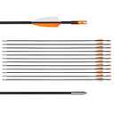 31" Training Arrows-Archery Practice Target Arrows for Youth or Beginners