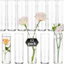 Small Cylinder Glass Vases for Centerpieces: Glasseam Clear Vase Set of 12 Modern Centerpiece Vases for Table Wedding Home Party Decor 5.9In Bud Vase for Flowers Single Stem Roses Tulips