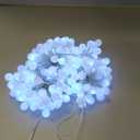 Minetom Mini Globe String Lights, 66 Ft. 200 LED Fairy String Lights Plug in, 8 Modes with Remote, Decor for Indoor Outdoor Party Wedding Christmas Tree Garden, Warm White