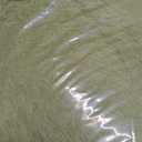 Ophanie Round Rug 4Ft Green Circle Area Rug, Green Room Decor, Fluffy Fuzzy Bedroom Carpet, Plush Soft Shaggy Living Room Rugs for Kids Home Decor Aesthetic, Nursery,7- Green, Round, 4' (Round)