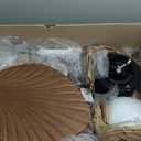 YITAHOME Tropical Ceiling Fans with Light and Remote, 52 Inch Fan Light with Memory Function, Lights Colors Changing, Quiet Motor, Timer, Palm Leaf Blades for Indoor - Gold