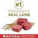 Purina ONE Dry Dog Food Lamb and Rice Formula - 8 lb. Bag (EXP 02/01/27)