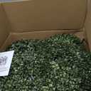 QIANYUN Boxwood Bunny Topiary  36'' UV-Resistant Artificial Rabbit Tree for Easter Decor, Outdoor/Indoor Faux Boxwood Topiary, Garden, Porch, Patio, Christmas Topiary (2, 31 Inch)