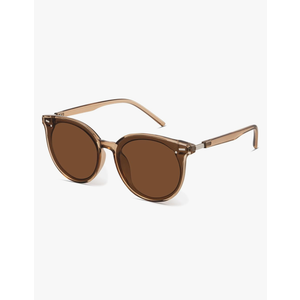 Livho Polarized Sunglasses, Retro & Oversized Shades for Women with Round Lenses