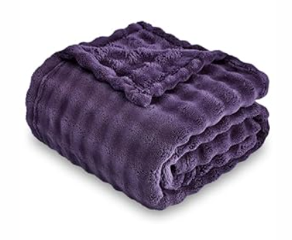 SOCHOW Purple Bubble Fleece Blanket for Couch, Super Soft Cozy Cute Throw Blanket for Women, Decorative Fuzzy Flannel Blanket, 60 x 80 Inches