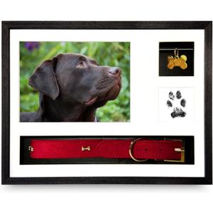 Dog Memorial Frame Shadow Box | Meaningful Pet Memorial Gifts for Dogs | Dog Bereavement Gifts with Unique Tag Slider, Fits All Collars & Hidden Compartment | Black 11x14 in