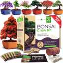 HOME GROWN Bonsai Tree Kit  6 Heirloom Varieties with Unique Pots  DIY Bonsai Starter Kit for Adults & Beginners  Christmas Gift for Men Women Gardeners Plant Lovers  Indoor Growing Kit